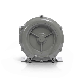 All-Star Single Stage Regenerative Blower 1 Inch, 3 Phase - RB1-025-3