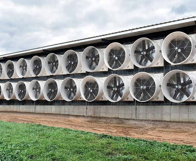 Agricultural fan use